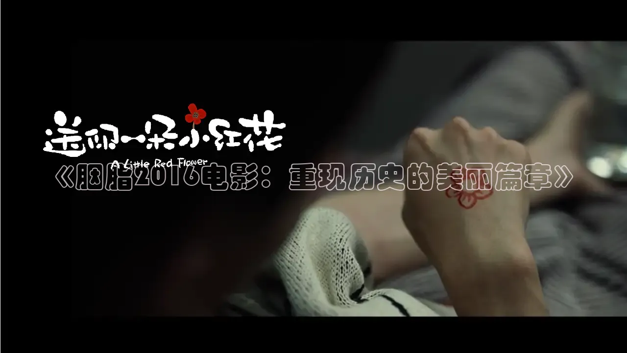 97视频在线